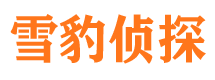 青原私家调查公司